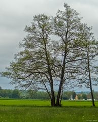 Blick auf Zellhof