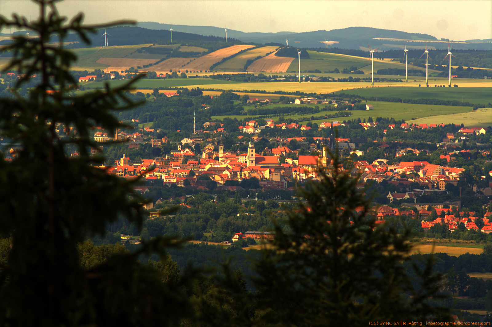 Blick auf Zittau