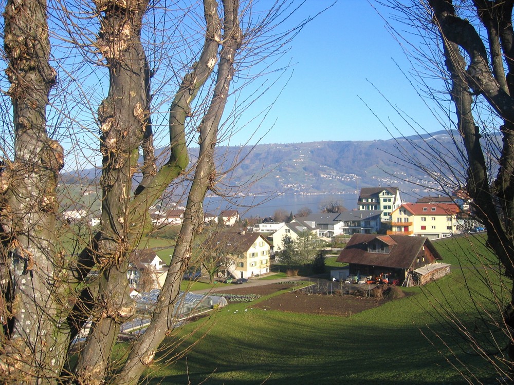 Blick auf Zugersee