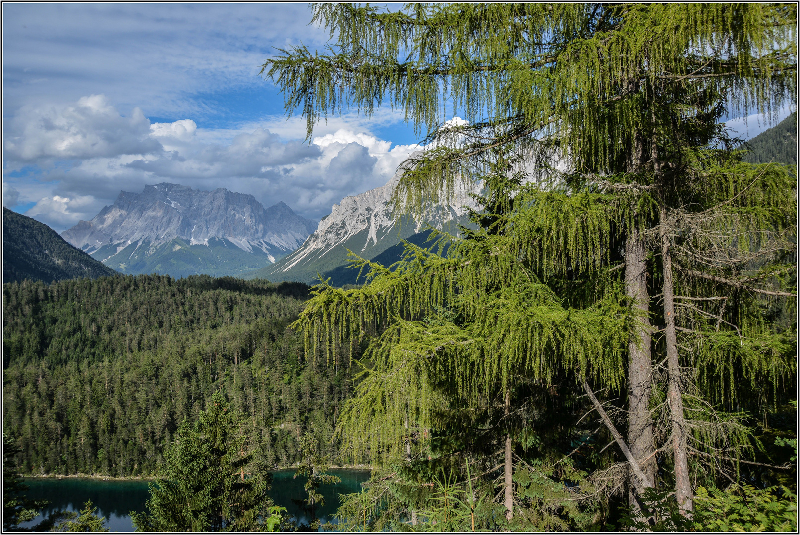 Blick auf Zugspitzmassiv und Blindsee ...