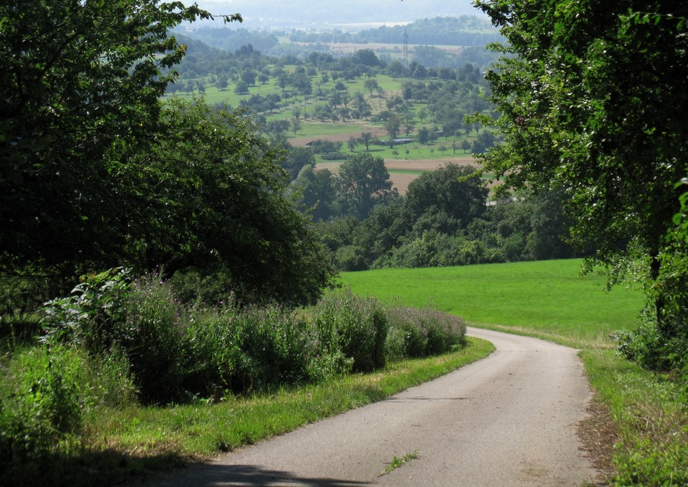 Blick aufs Albvorland