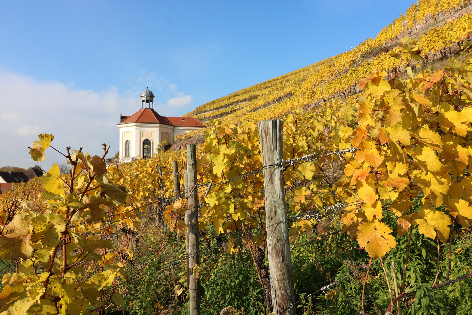 Blick aufs Belvedere