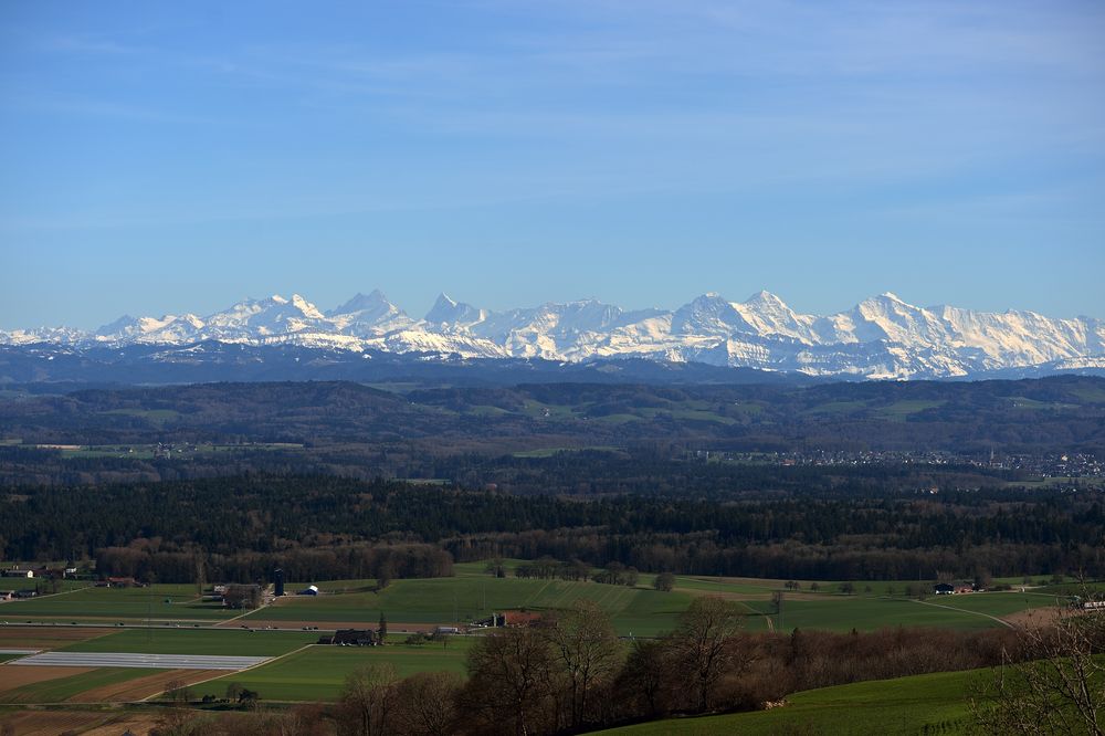 Blick auf's Berner Oberland #2