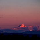 Blick aufs Berner Oberland