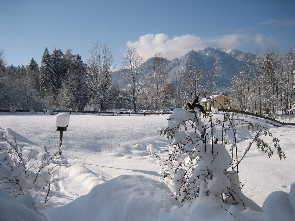 Blick auf`s Brauneck bei Lenggries