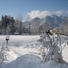 Blick auf`s Brauneck bei Lenggries