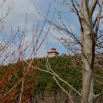 Blick aufs Dach der Wachsenburg