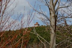 Blick aufs Dach der Wachsenburg