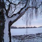 Blick auf`s Feld