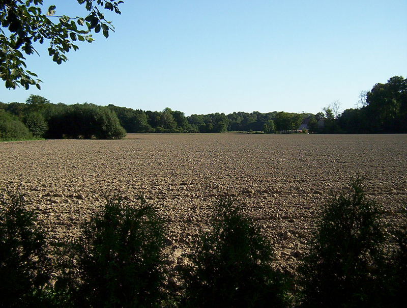 Blick aufs Feld