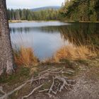 Blick auf´s Fichtelsee-Moor