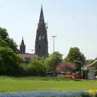 Blick aufs Freiburger Münster