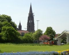 Blick aufs Freiburger Münster