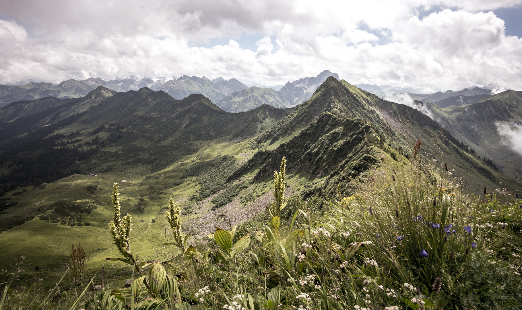 Blick aufs Grünhorn