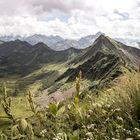 Blick aufs Grünhorn