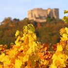 Blick auf's Hambacher Schloß...