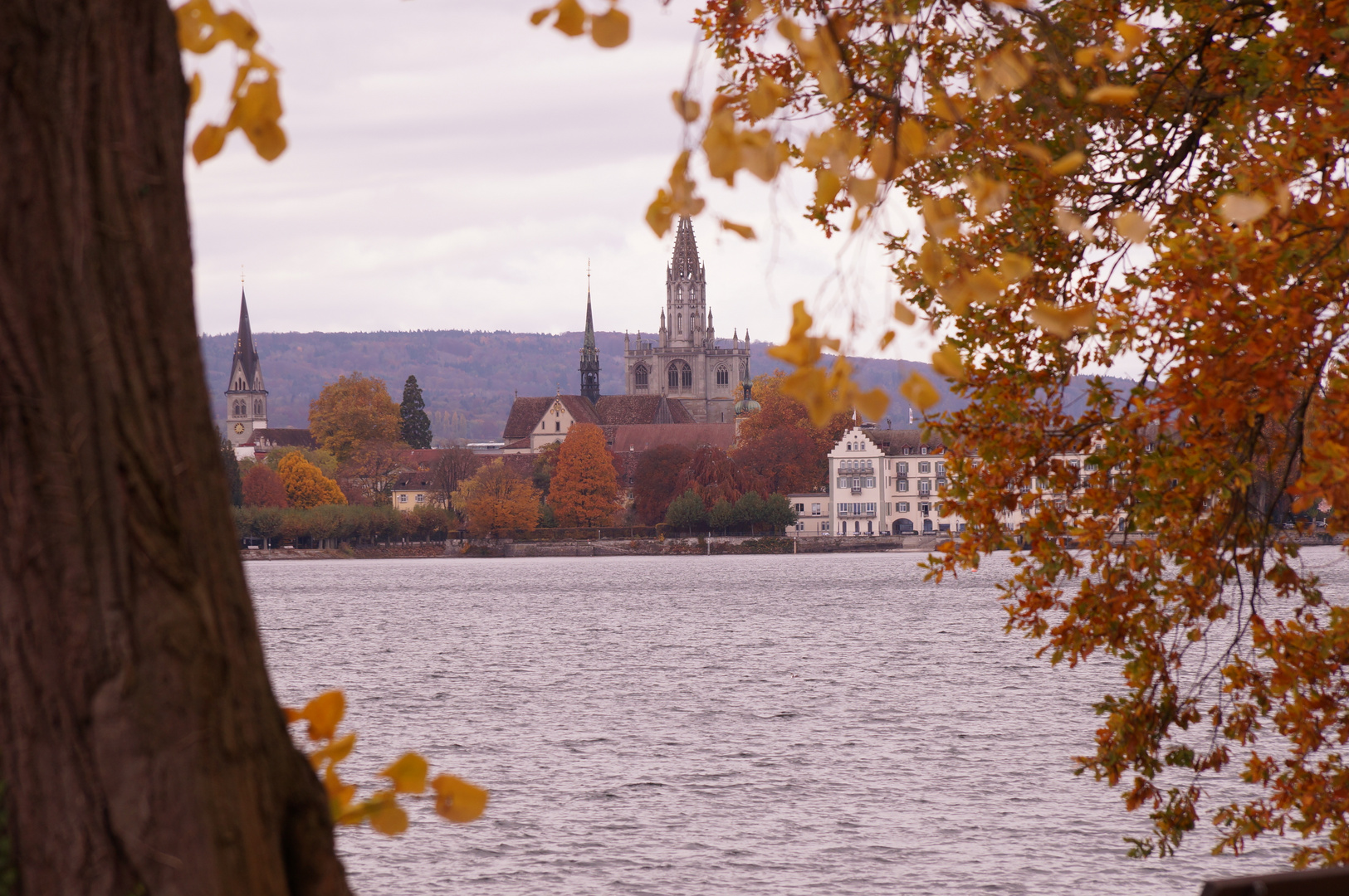 Blick aufs Konstanzer Münster