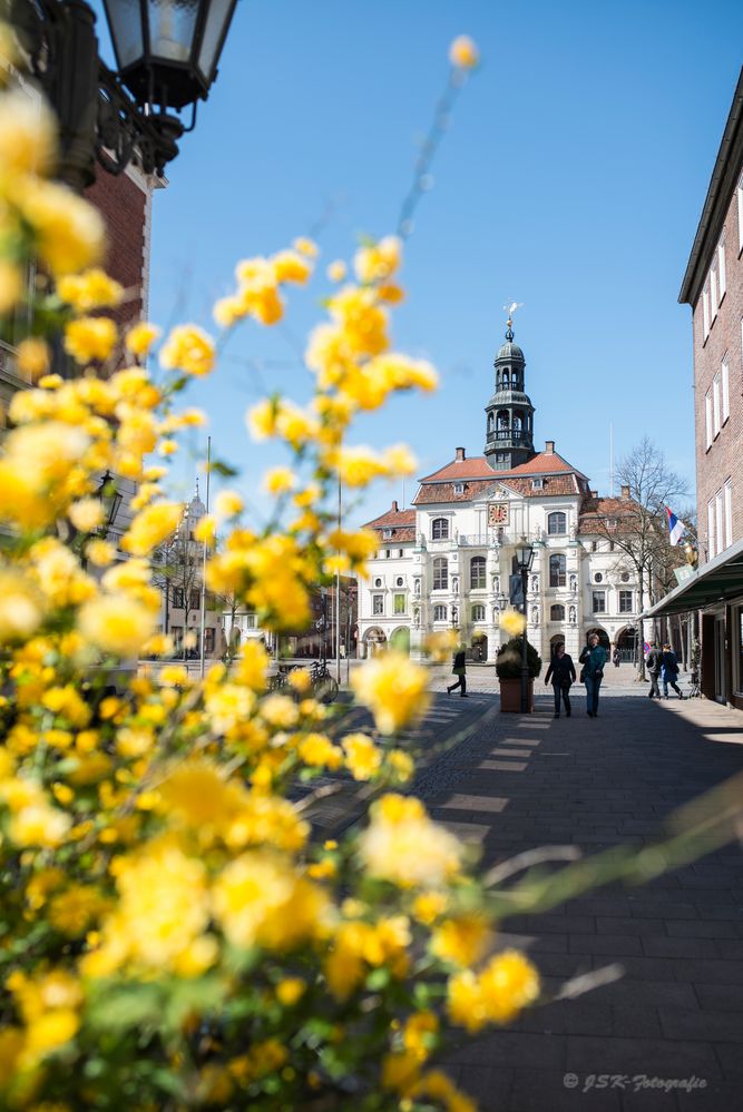 Blick auf´s Lüneburger Rathaus