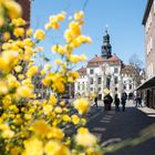 Blick auf´s Lüneburger Rathaus