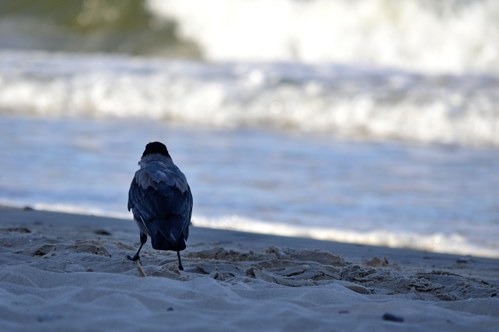 Blick auf´s Meer