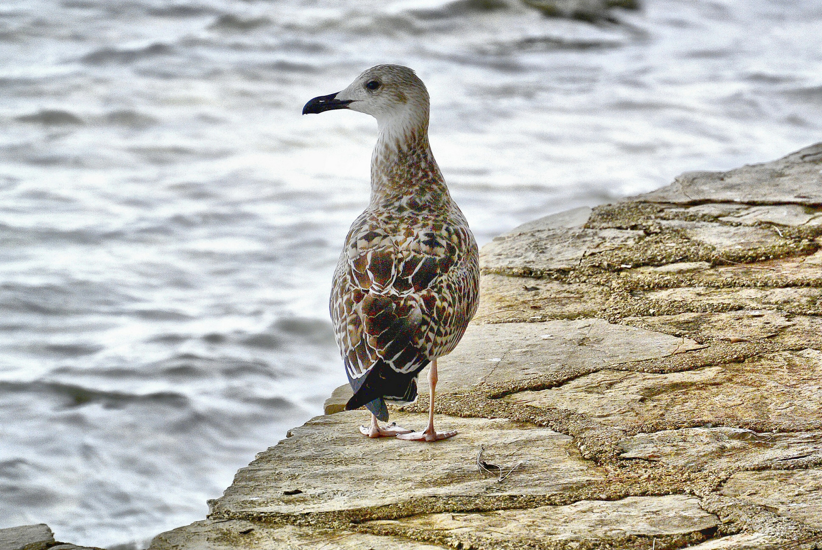 blick auf´s meer