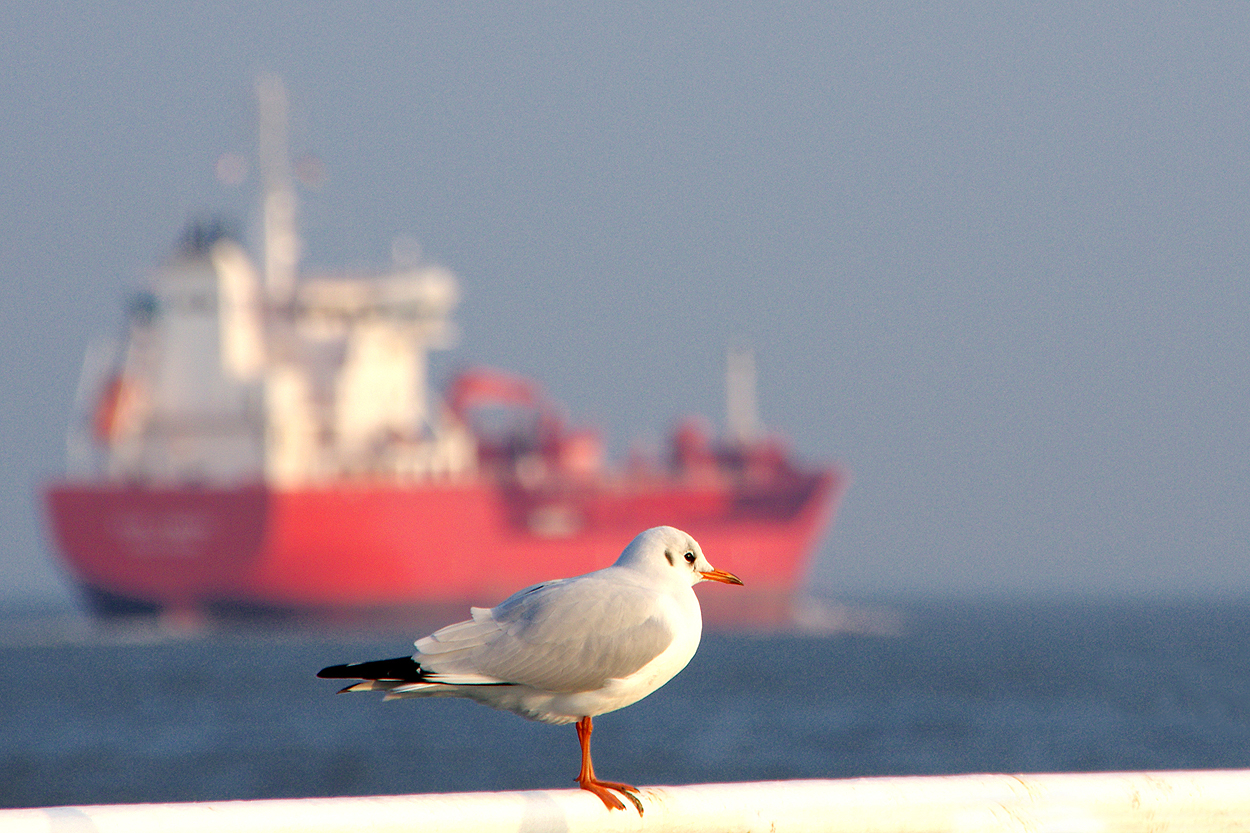 Blick aufs Meer