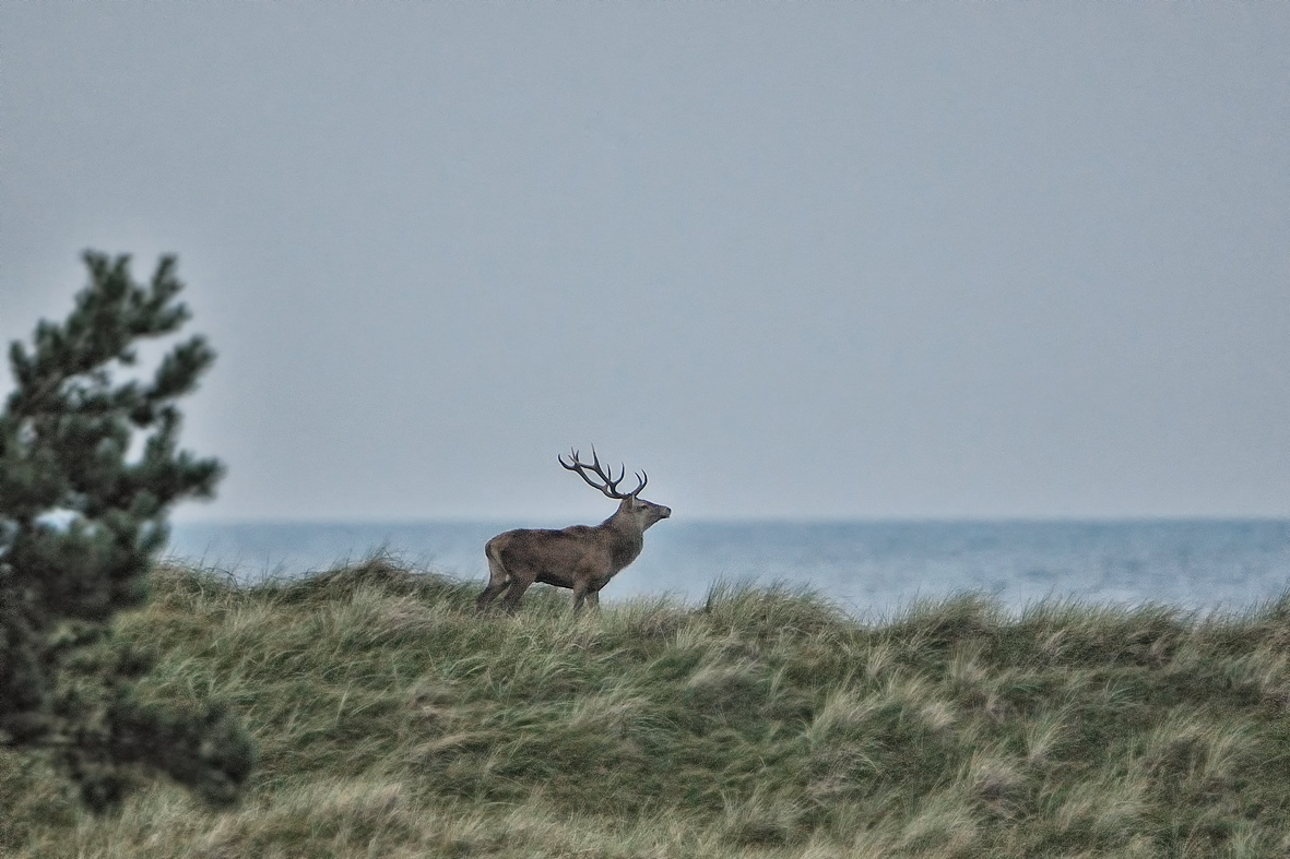 Blick aufs Meer