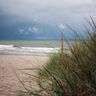 Blick aufs Meer (Rügen)