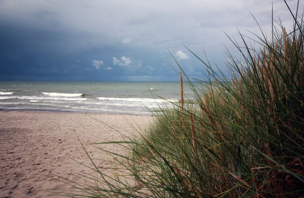 Blick aufs Meer (Rügen)