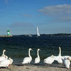 Blick auf´s Meer (Travemünde)