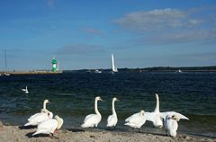 Blick auf´s Meer (Travemünde)