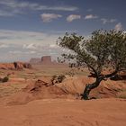 Blick aufs Monument Valley