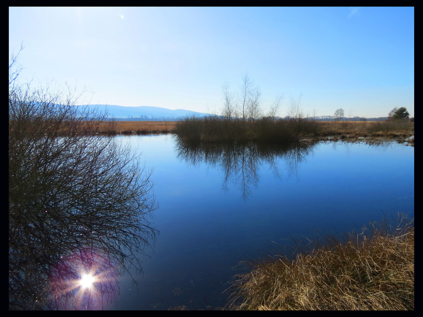 Blick aufs Moor.