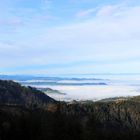 Blick aufs Nebelmeer über Luzern ...