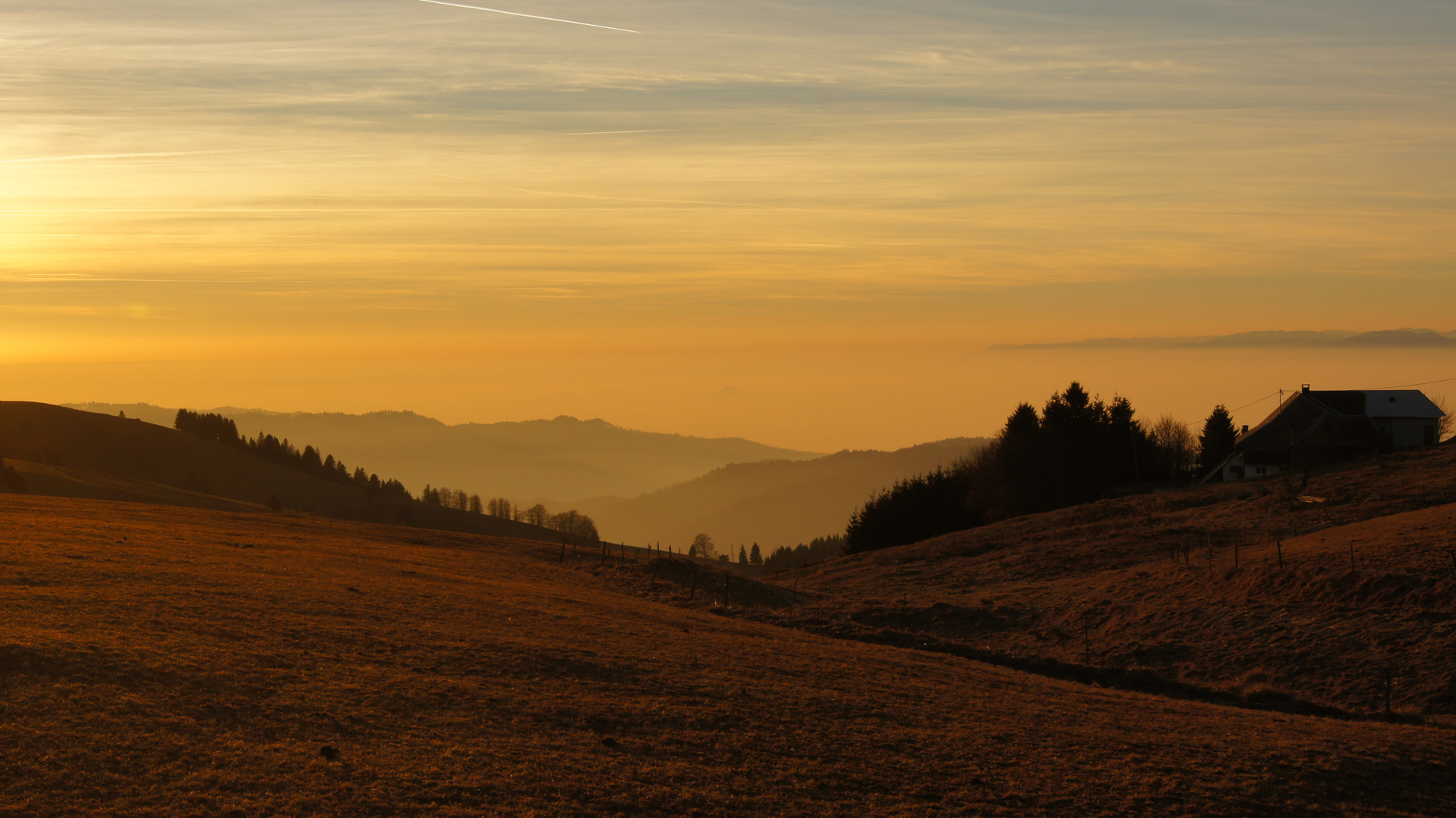 Blick aufs Nebelmehr