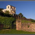 Blick aufs Pompejanum