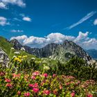 Blick auf`s Rubihorn