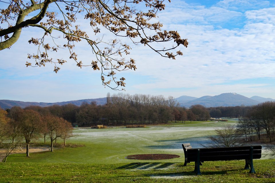 Blick auf's Siebengebirge