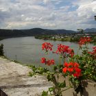 Blick aufs Siebengebirge