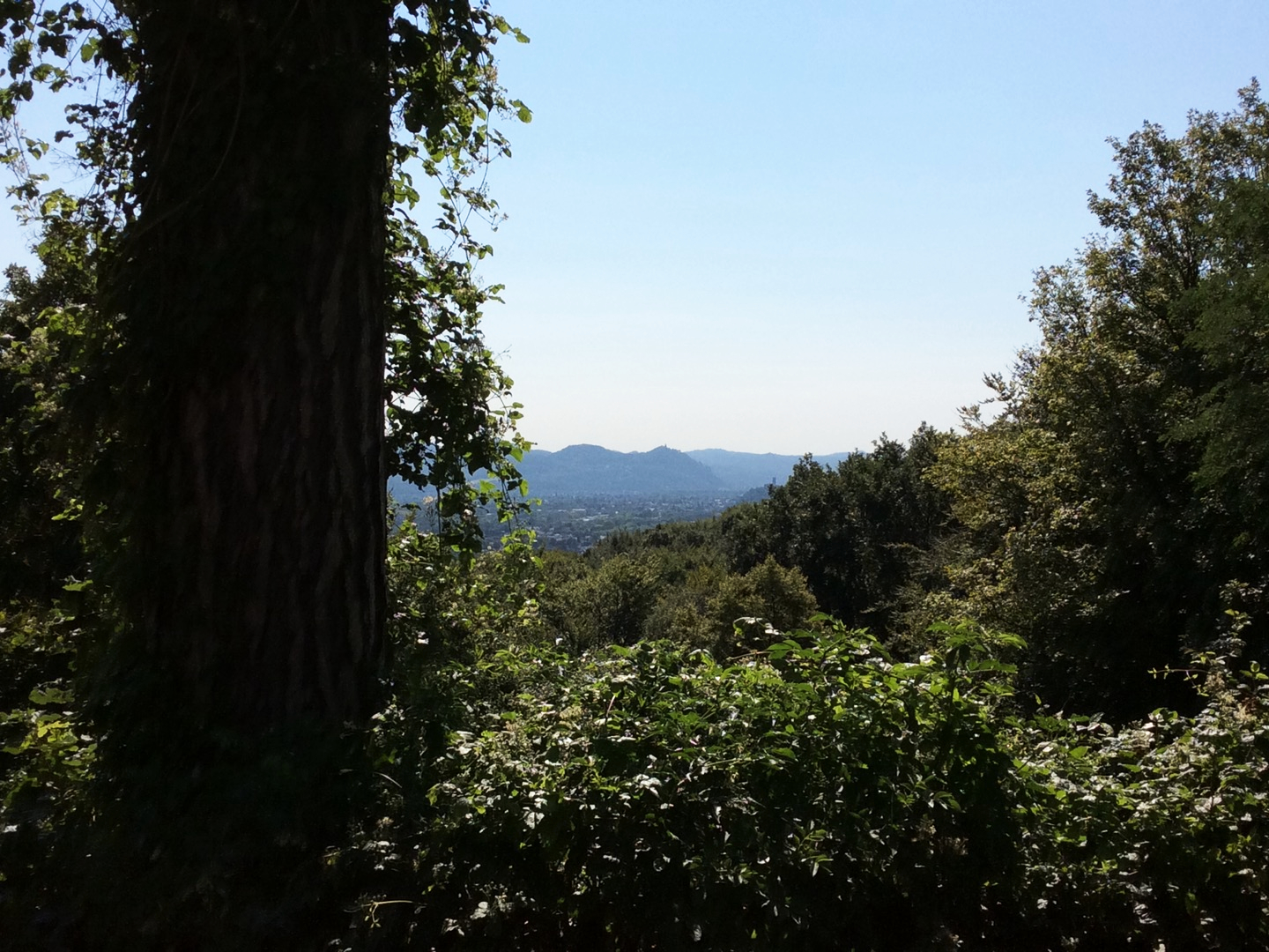 Blick aufs Siebengebirge