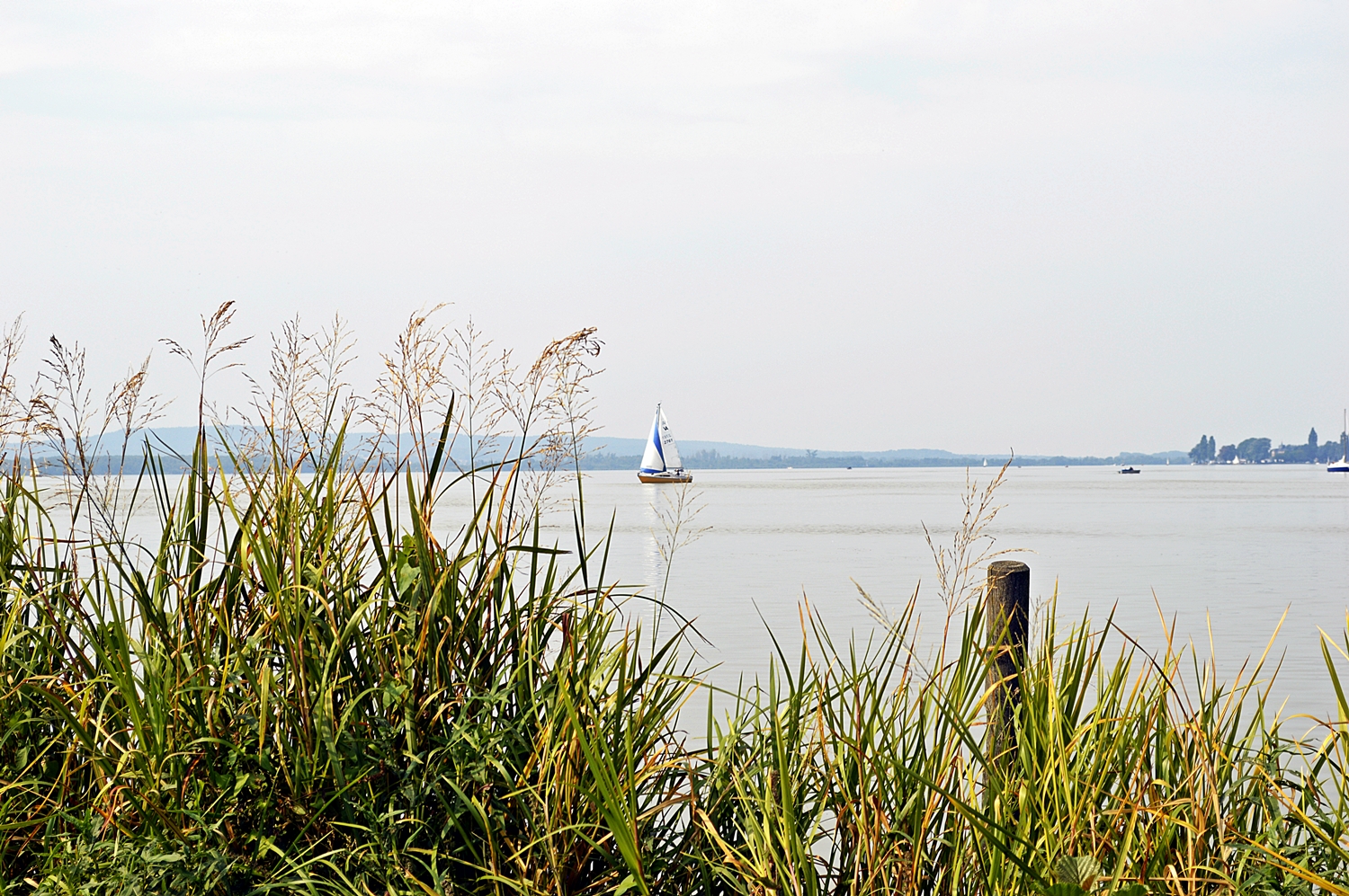 Blick aufs Steinhuder Meer