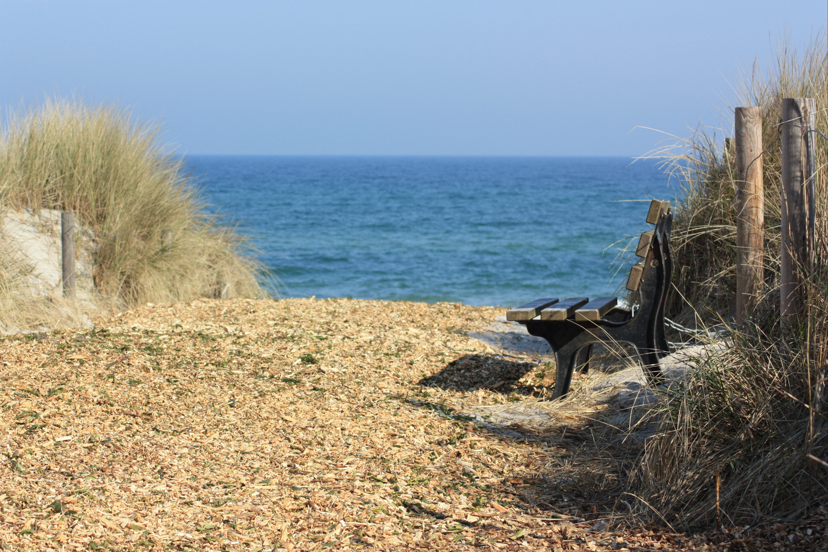 Blick auf's Wasser