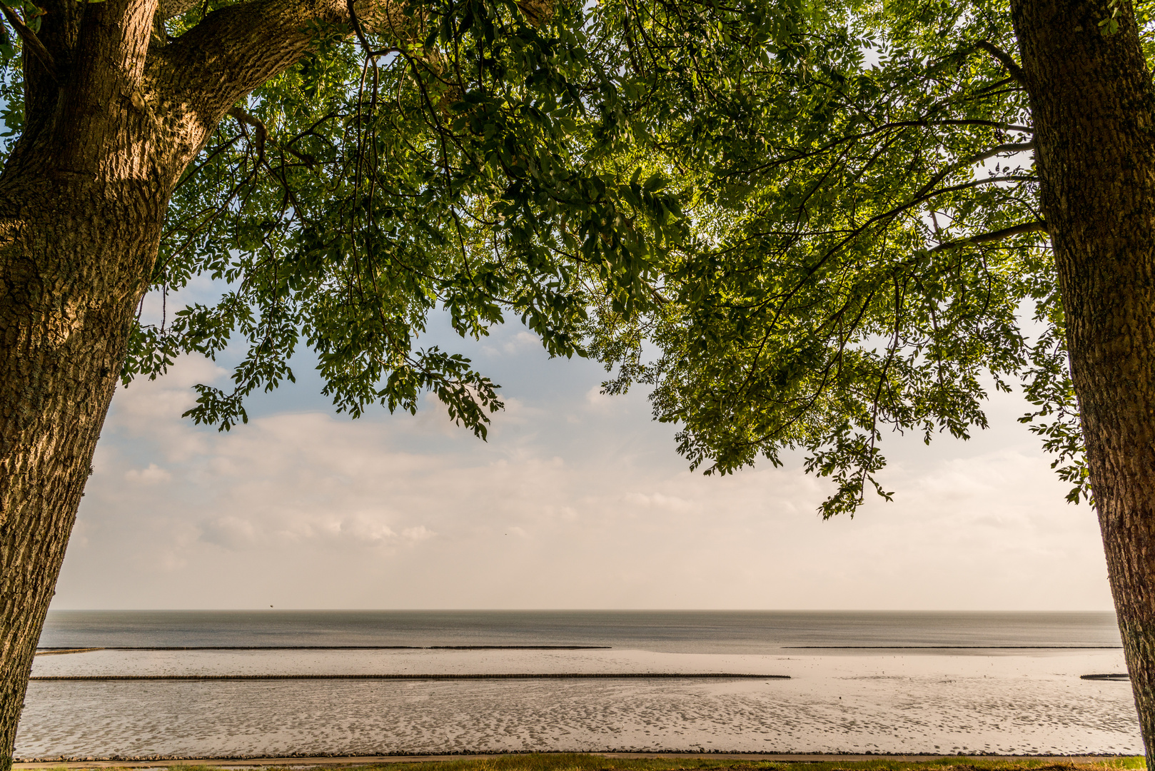 Blick aufs Wattenmeer