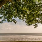 Blick aufs Wattenmeer