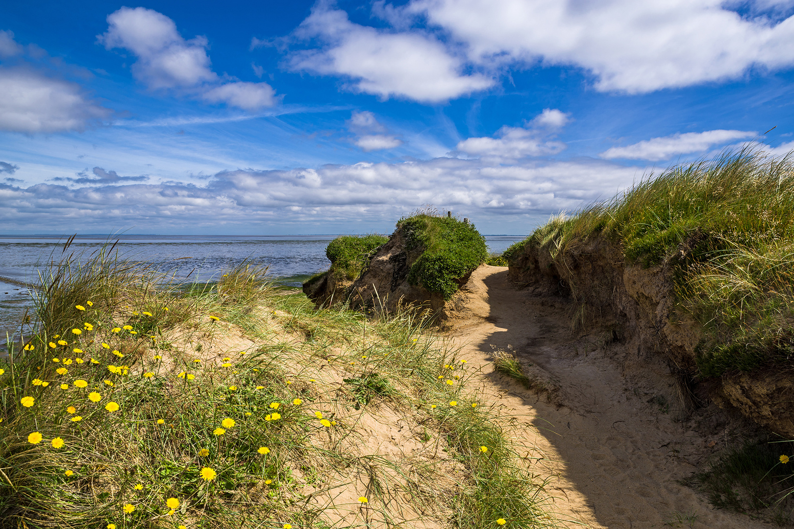 Blick aufs Wattenmeer