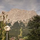 Blick auf`s Zugspitzmassiv von Lermoos aus