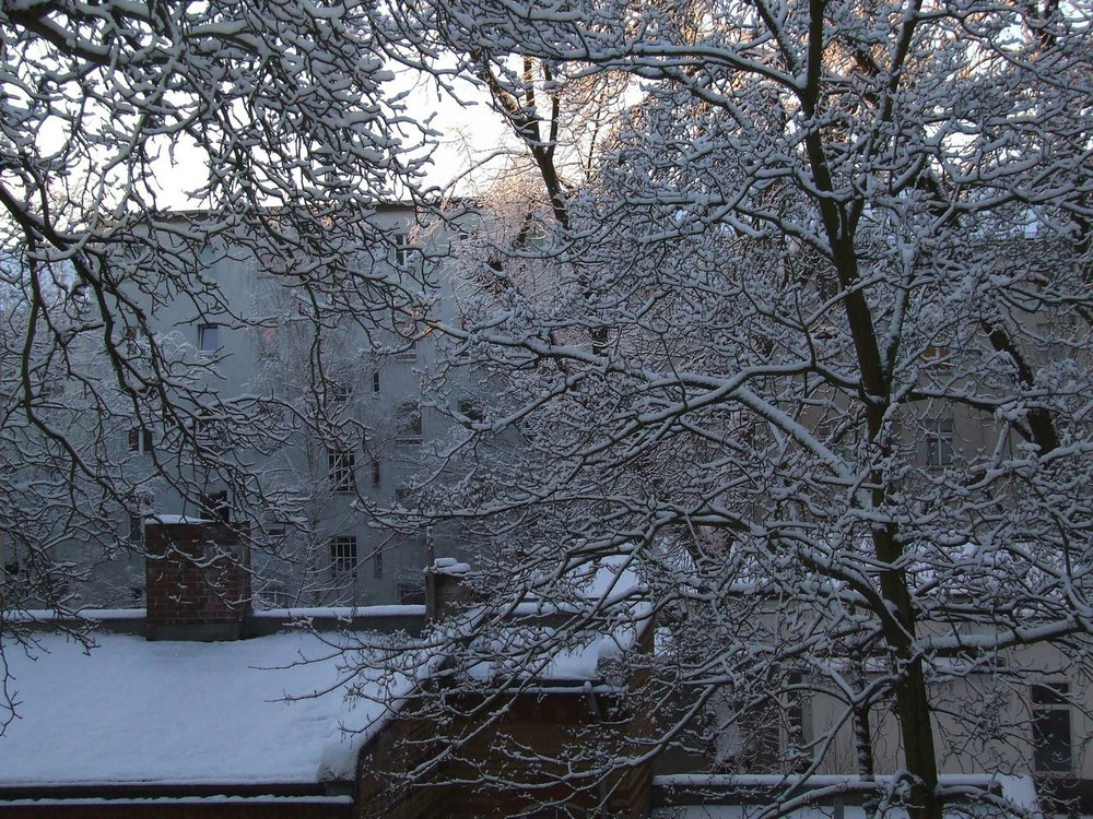 Blick aus dem Arbeitszimmer