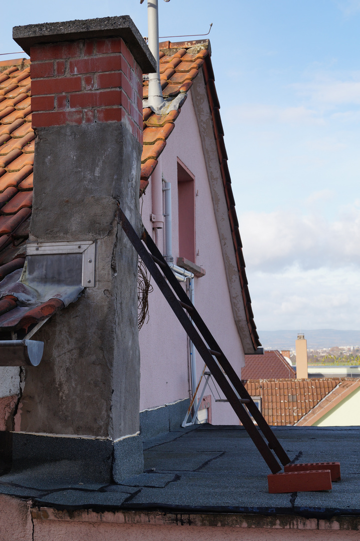 Blick aus dem Badezimmer, 14.11.2015