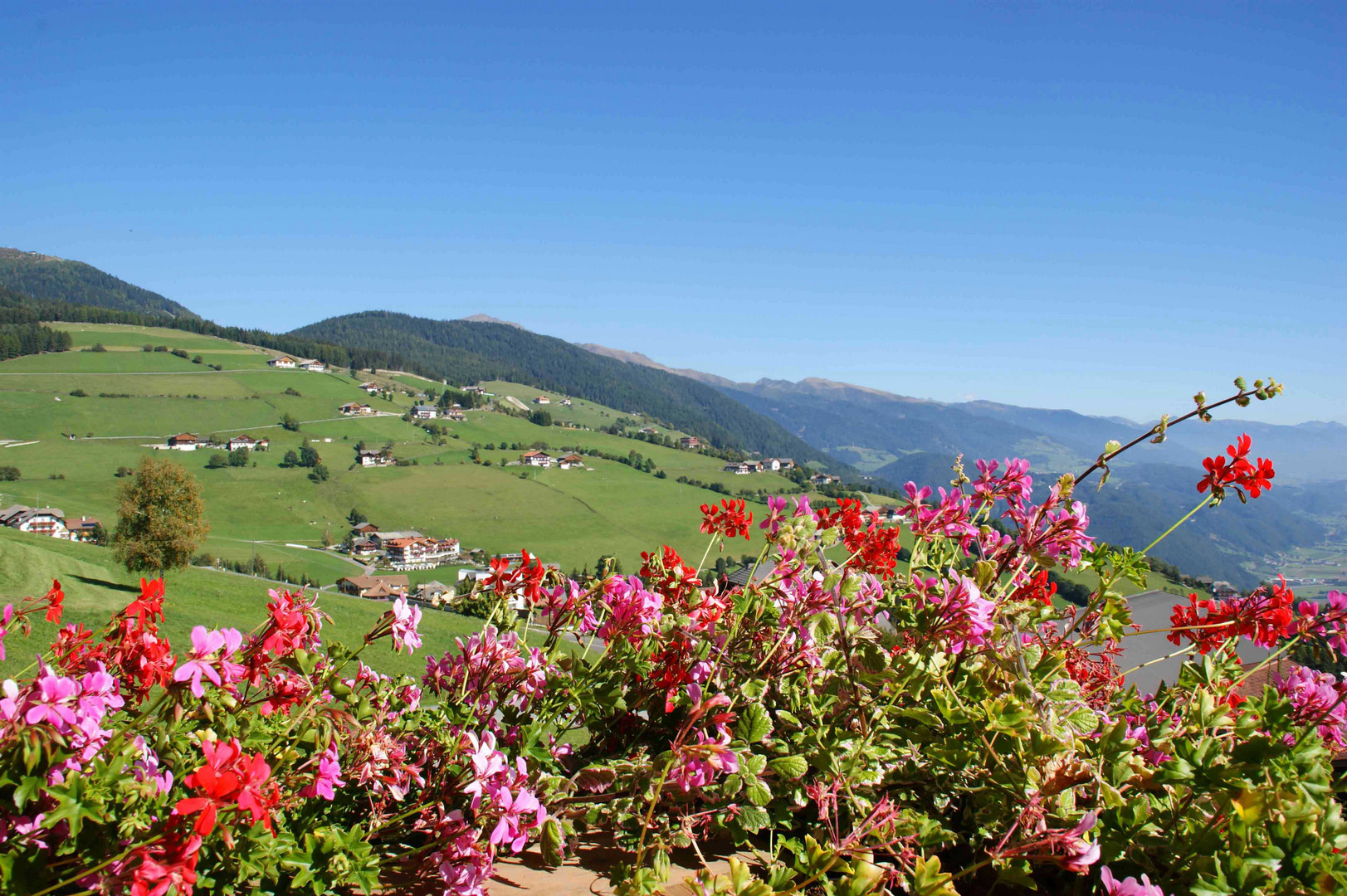 Blick aus dem Balkon