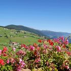 Blick aus dem Balkon